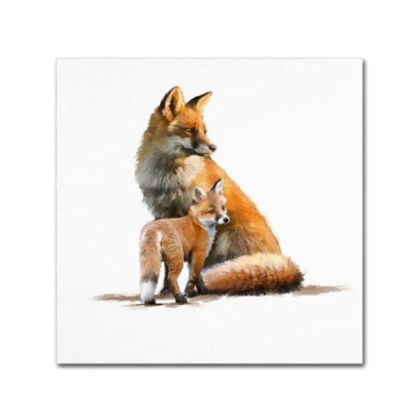 The Macneil Studio 'Fox' Canvas Art, 14x14, Trademark Fine Art, Mfr#: ALI9011-C1414GG
